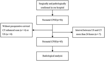 Imaging Findings in Neonates With Congenital Pyriform Sinus Fistula: A Retrospective Study of 45 Cases